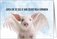 Pet Pig Condolences