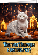 White Cat Halloween