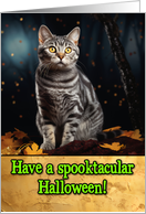 Tabby Cat Halloween