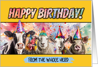 Happy Birthday Herd