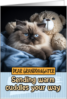 Granddaughter Warm...