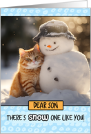 Son Ginger Cat and...
