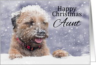 Aunt, Christmas,...