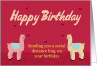 Birthday Card Llama...
