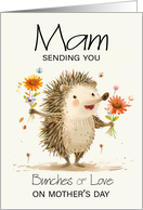 Mam Sending you...