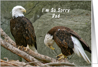 Dad, I'm so Sorry,...
