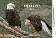 I'm so Sorry Son,...