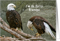 I'm so Sorry Grandpa...