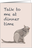 Talk to me at dinner...