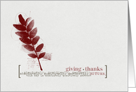 Giving Thanks on...