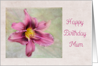 Happy Birthday Mum -...