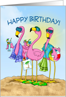 Birthday Flamingos...