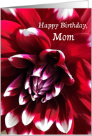 Happy Birthday Mom,...