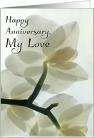 Happy Anniversary,...