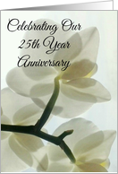 Our 25th Year...