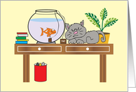 Goldfish A Cat and...