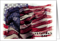 Veterans Day from...