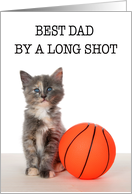 Basketball kitten...