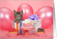 Kitten in a Present...