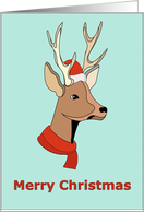 Funny Christmas Deer...