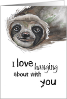 Funny Hanging Sloth...