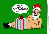 Adult Christmas Card With Santa I Have A Big Package For You card