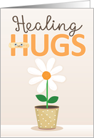 Healing Hugs Get Well Soon with Watercolor Daisy in Pot card