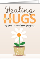 Healing Hugs Get...