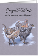 Congratulations on your 4H Project Flock of Chickens Pastel card