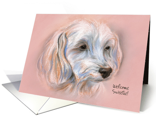 Custom Dog Adoption Announcement Pink Girl Maltipoo Small Dog card