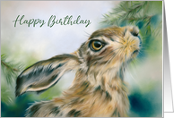 Happy Birthday Hare...