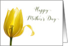 Happy Mother’s Day for Mother Yellow Tulip Flower card
