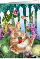 Easter Bunny Rabbit...