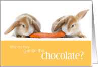 Easter Bunnies and...