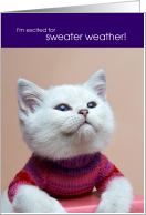 Excited for Sweater...