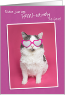 Happy Birthday Sister You are PAW-sitively the Best Cat Humor card
