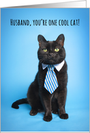 Happy Father’s Day Husband Cute Cat in Blue Tie Humor card