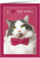 Happy Valentine’s Day Wife Cute Cat in Pink Bow Tie Humor card