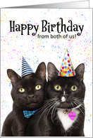 Happy Birthday From Both of Us Cats in Party Hat Humor card