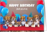 Puppies in Birthday...