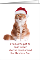 Cat in Santa Hat...