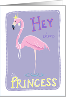 Flamingo Hey there...