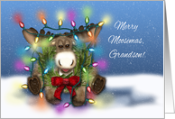 Merry Moosemas for...