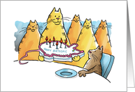 Funny Birthday Cats...