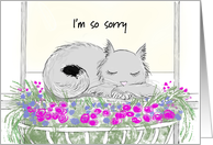 Sympathy Card for...