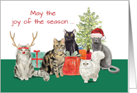 Cat Christmas and Better New Year card