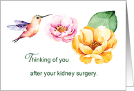 Kidney Surgery...