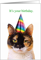 Birthday Grumpy Cat...