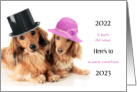 Cute Humorous Dressed Up Dachsund Dogs New Year’s Card