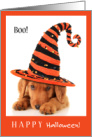 Happy Halloween You’ve Been Boo’d Dachsund Puppy Dog card